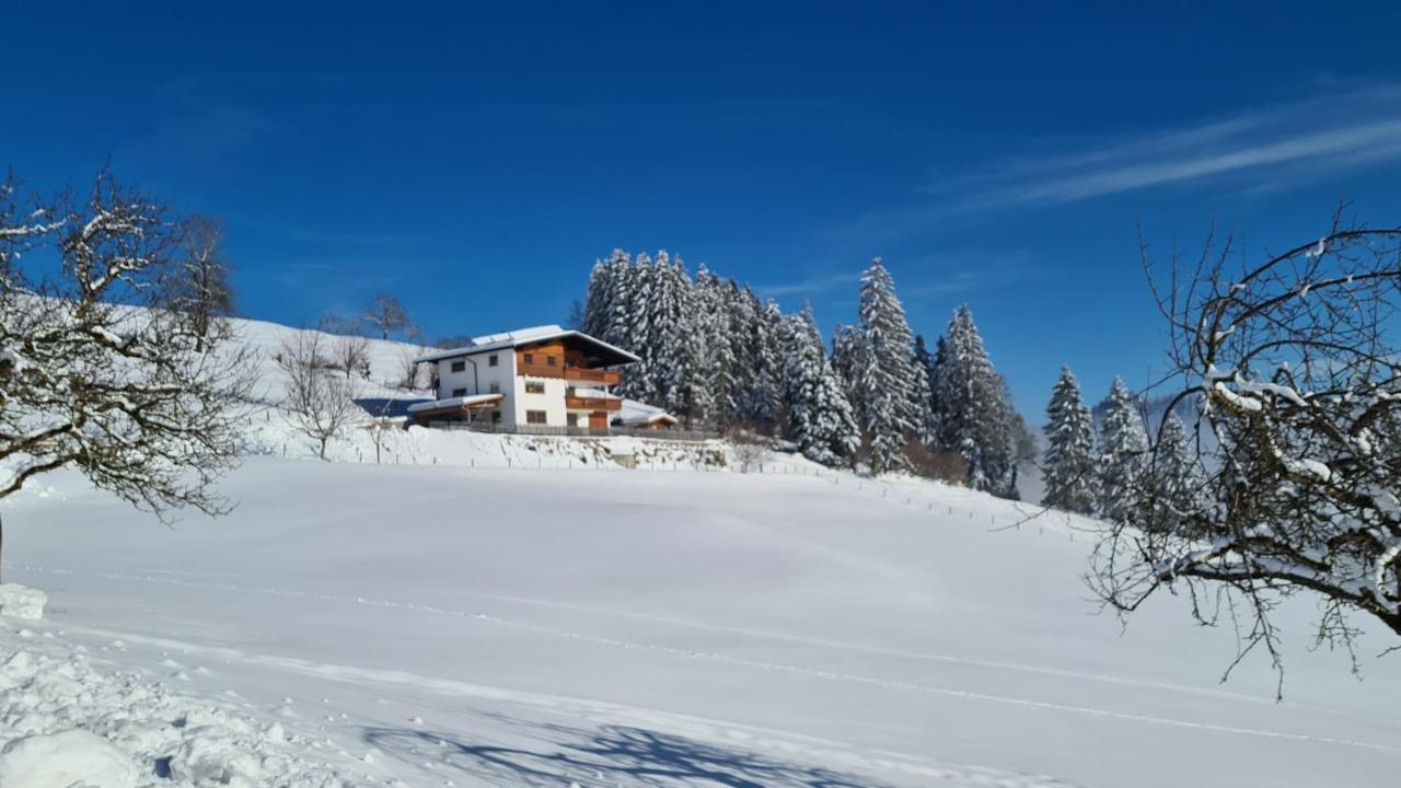 Appartement Schwindelfrei Niederndorferberg Экстерьер фото